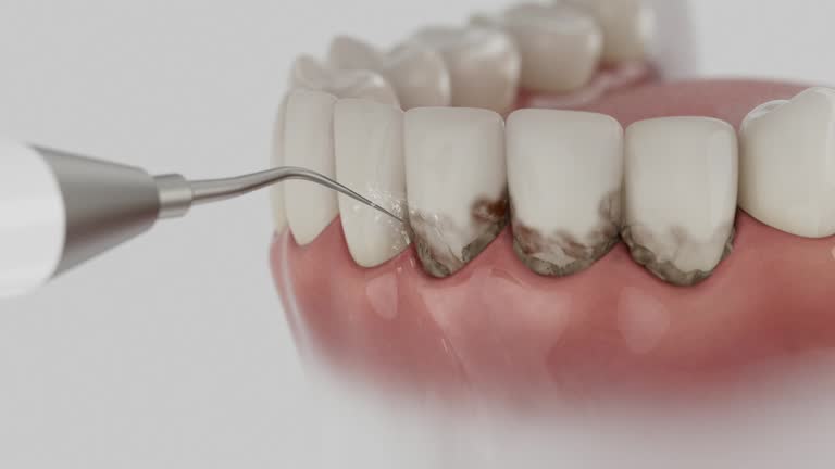 Reliable Emergency Dentist contractor in Calvert County County, MD by Dentist Open Now